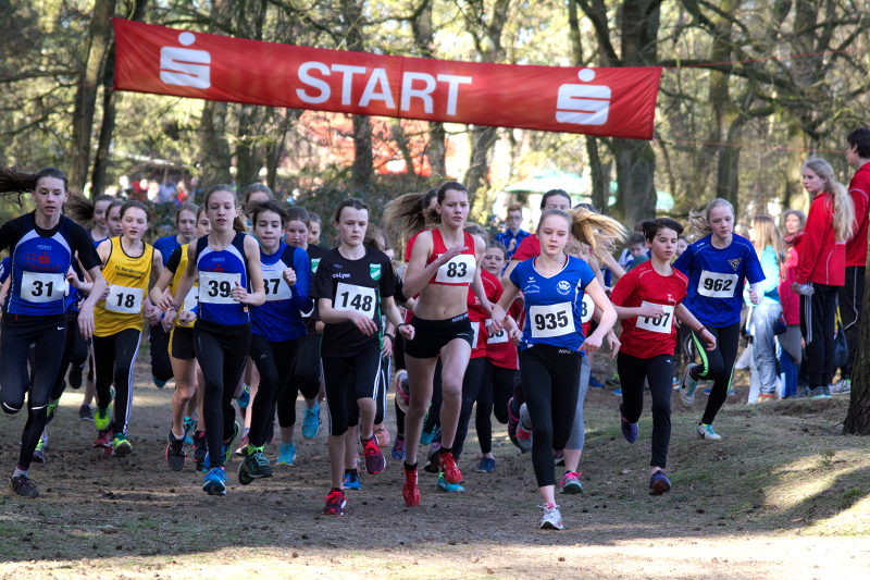 Erster Start der weiblichen Jugend W14 mit Annika Schulze Kalthoff (83) mitten drin. Leider hatten Chaoten auf der Strecke ein Absperrung entfernt und Schilder entfernt. So kamen alle Läuferinnen zusammen aus dem Wald zurück und mussten dann noch einmal starten.